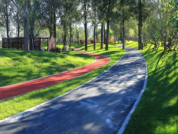 深林公园蓝红双路健身步道